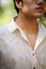 Load image into Gallery viewer, Sunny Chevron